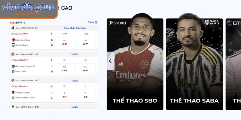 Tổng quan nhà cung cấp K-sports Viva88
